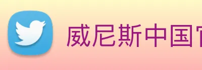 威尼斯中国官网 Logo